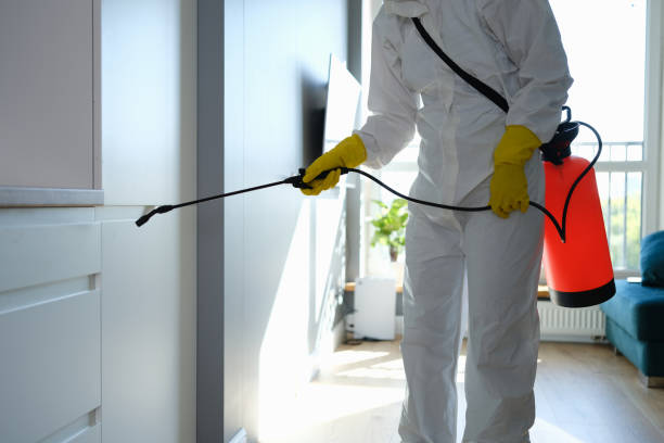 Best Mold Prevention Services  in East Douglas, MA